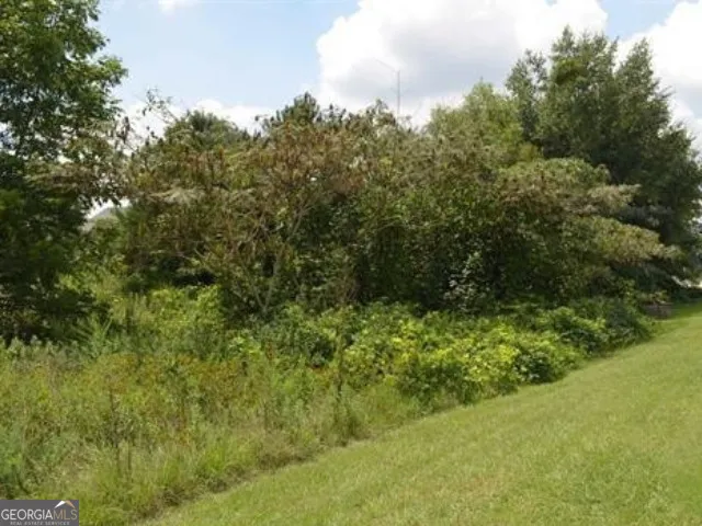 a view of a swimming pool and a yard