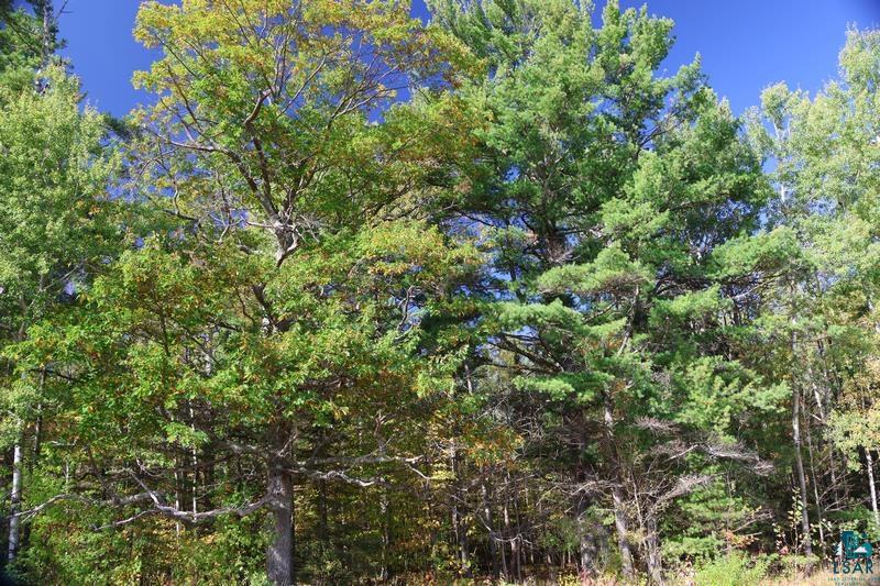 30-xxx Brevak Road Washburn, WI 54891 - Photo 8 of 50