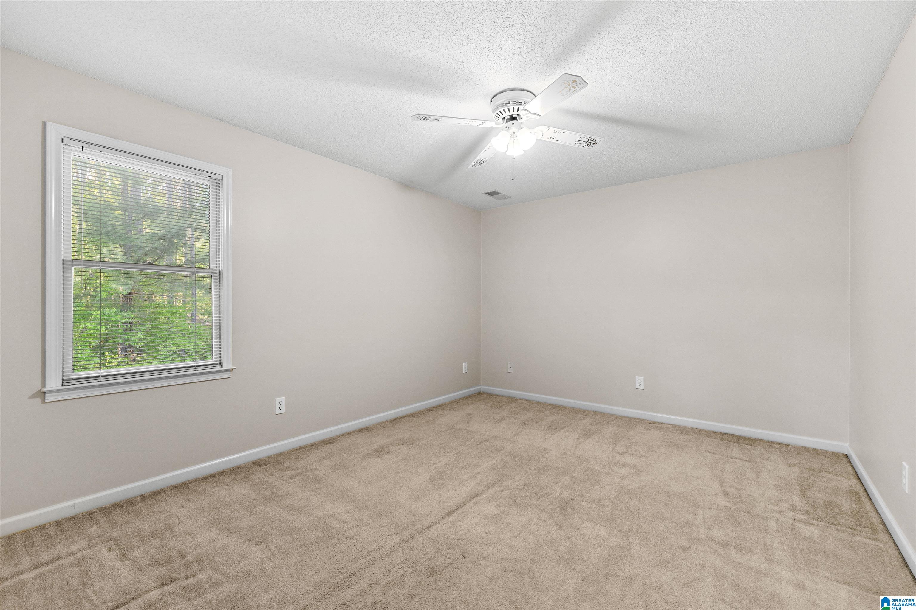 6258 Old Springville Road Pinson, AL 35126 - Photo 22 of 30