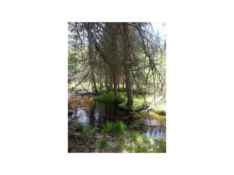 614 Mingo Loop Road Rangeley, ME 04970 - Photo 35 of 35 Yard/Garden.