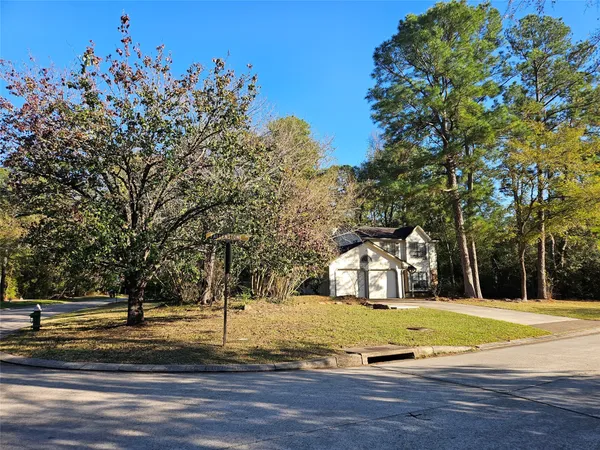 a view of big yard with large trees