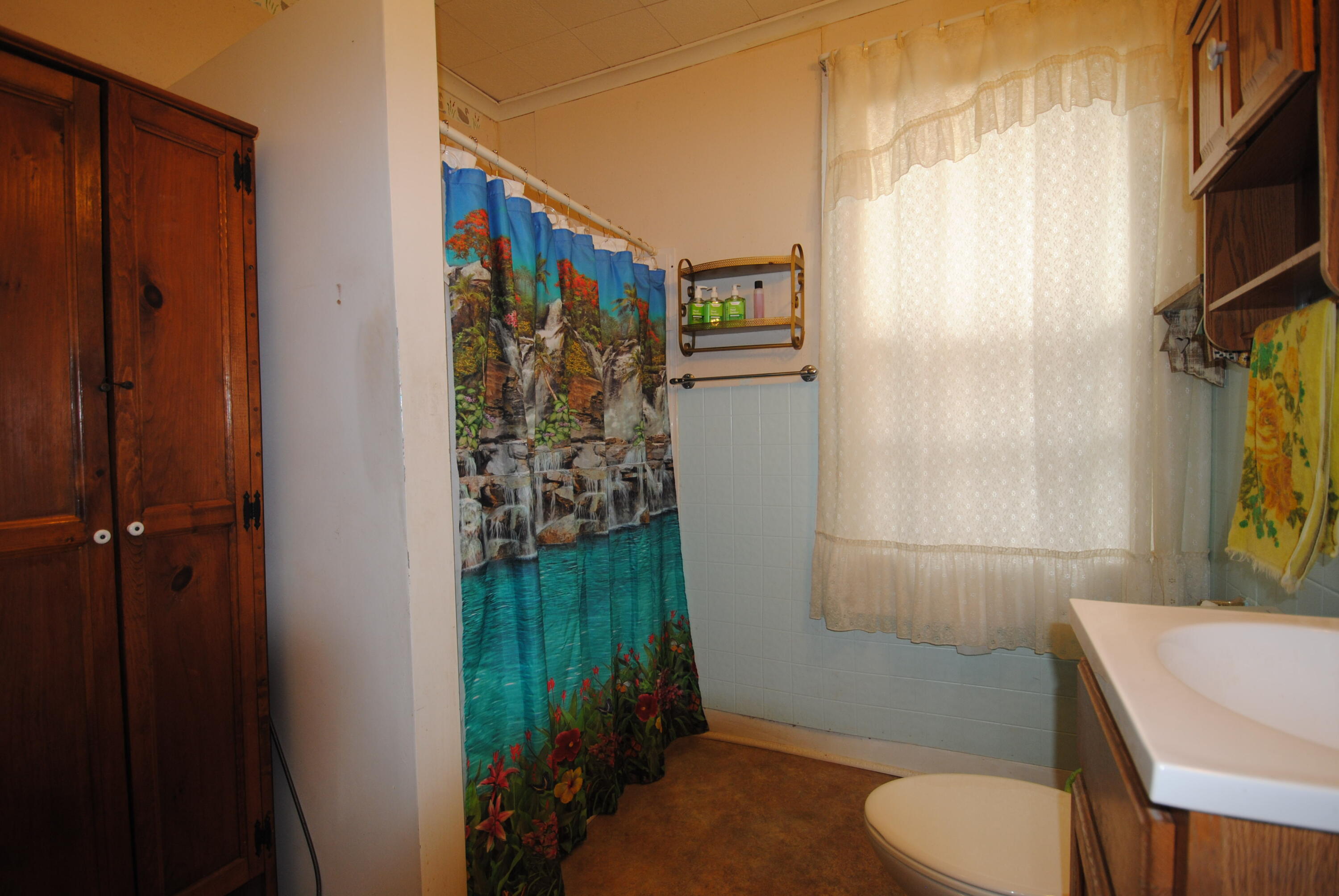 457 West Ann Street Whitewater, WI 53190 - Photo 21 of 21 Bath.