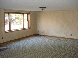 4912 Summerfield Road Petersburg, MI 49270 - Photo 4 of 12 Living Room