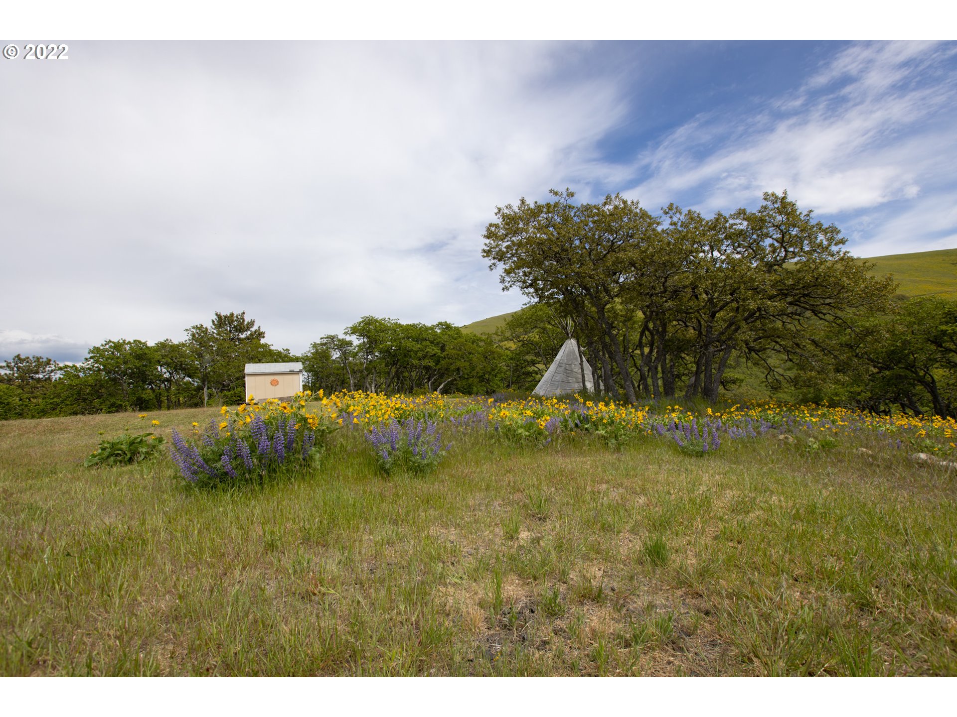 137 Stacker Butte Road Lyle, WA 98635 - Photo 11 of 32 Gallery Image 11