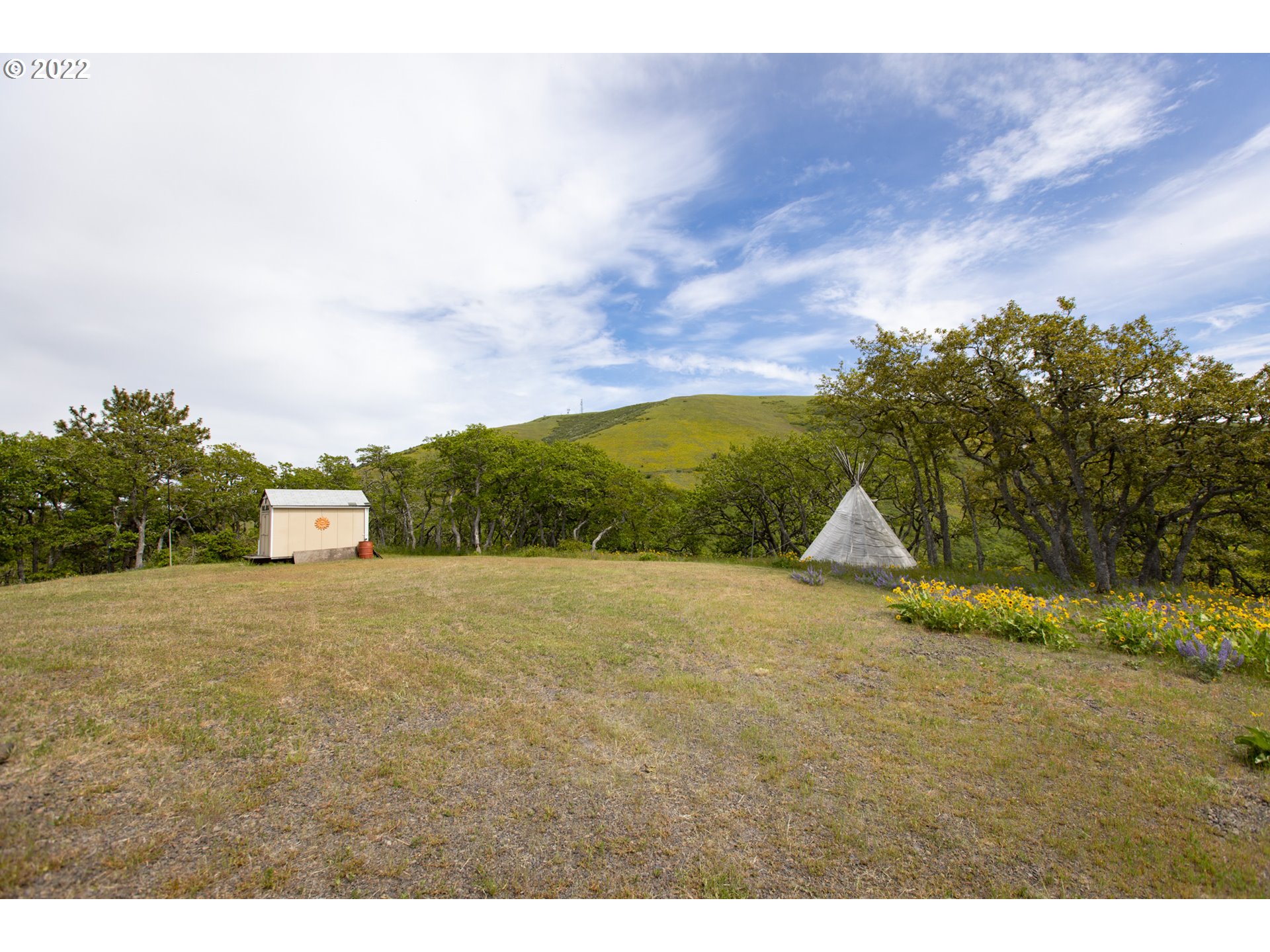 137 Stacker Butte Road Lyle, WA 98635 - Photo 14 of 32 Gallery Image 14