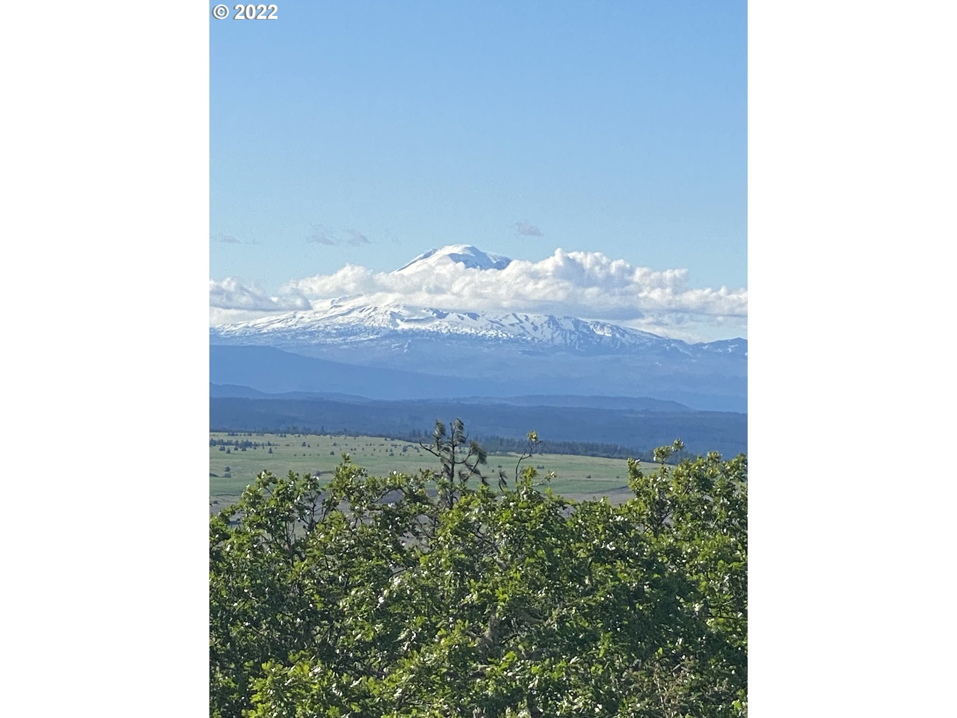 137 Stacker Butte Road Lyle, WA 98635 - Photo 5 of 32 Gallery Image 5