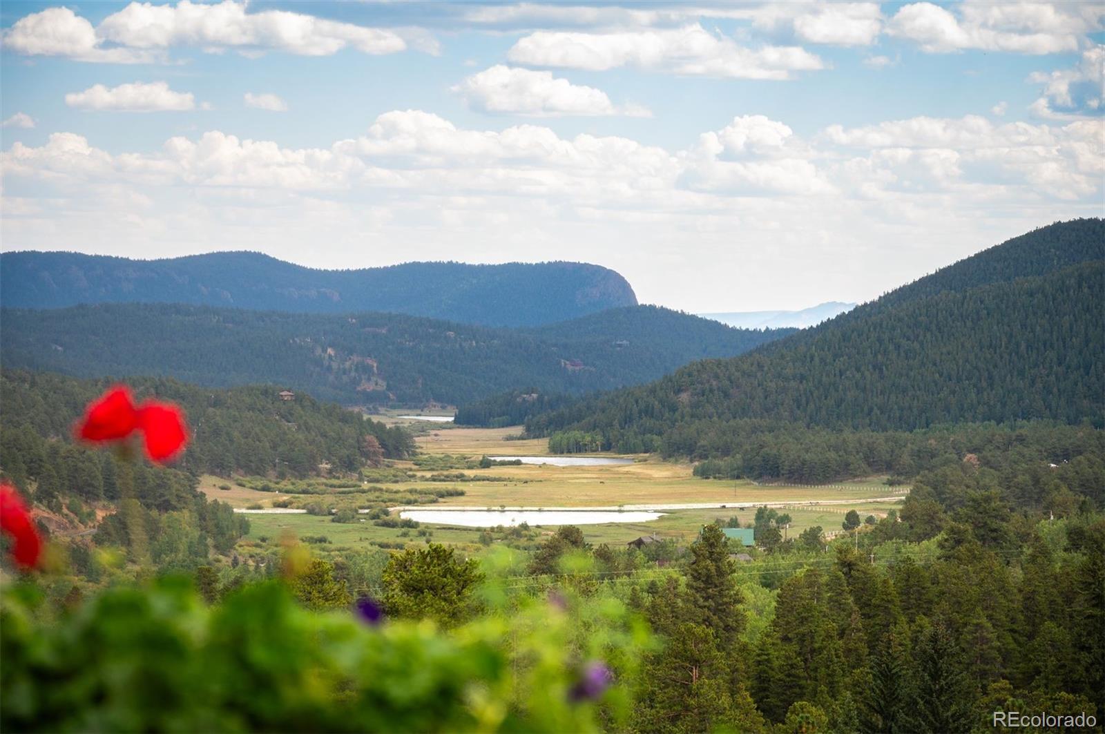 146 P61 Road Bailey, CO 80421 - Photo 2 of 41 Gallery Image 2