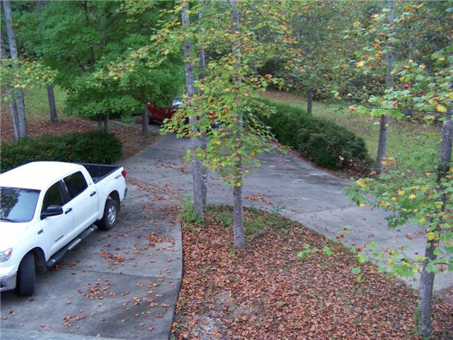 171 Love Lady Hollow Road Tennessee Ridge, TN 37178 - Photo 15 of 20 FROM THE DECK YOU HAVE A VIEW OF THE OUTSIDE PARKING SPACE.