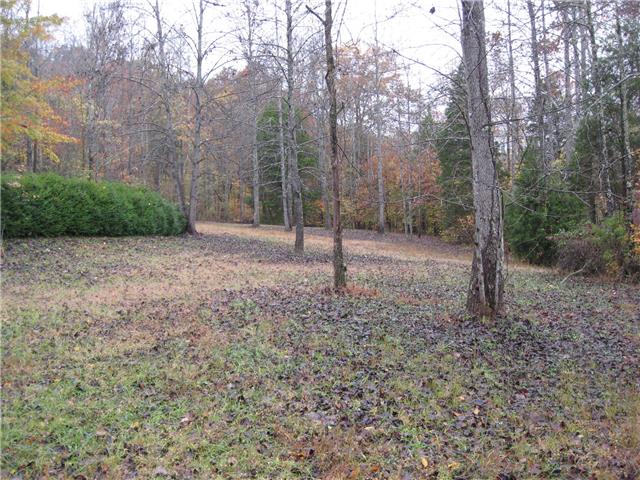 171 Love Lady Hollow Road Tennessee Ridge, TN 37178 - Photo 19 of 20 THE SIDE YARD IS THE MOST OPEN AREA ON THE PROPERTY REACHING DOWN TO THE DRIVEWAY.