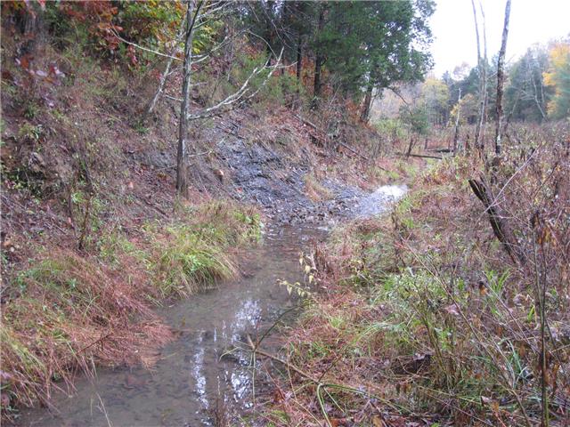 171 Love Lady Hollow Road Tennessee Ridge, TN 37178 - Photo 20 of 20 IT'S A BIT OVERGROWN BUT THE CREEK RUNS CONTINUOUSLY.