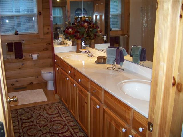 171 Love Lady Hollow Road Tennessee Ridge, TN 37178 - Photo 6 of 20 THE 1ST BATH (MAIN FLOOR) FEATURES TWO SINKS WITH A TILED TUB/SHOWER.