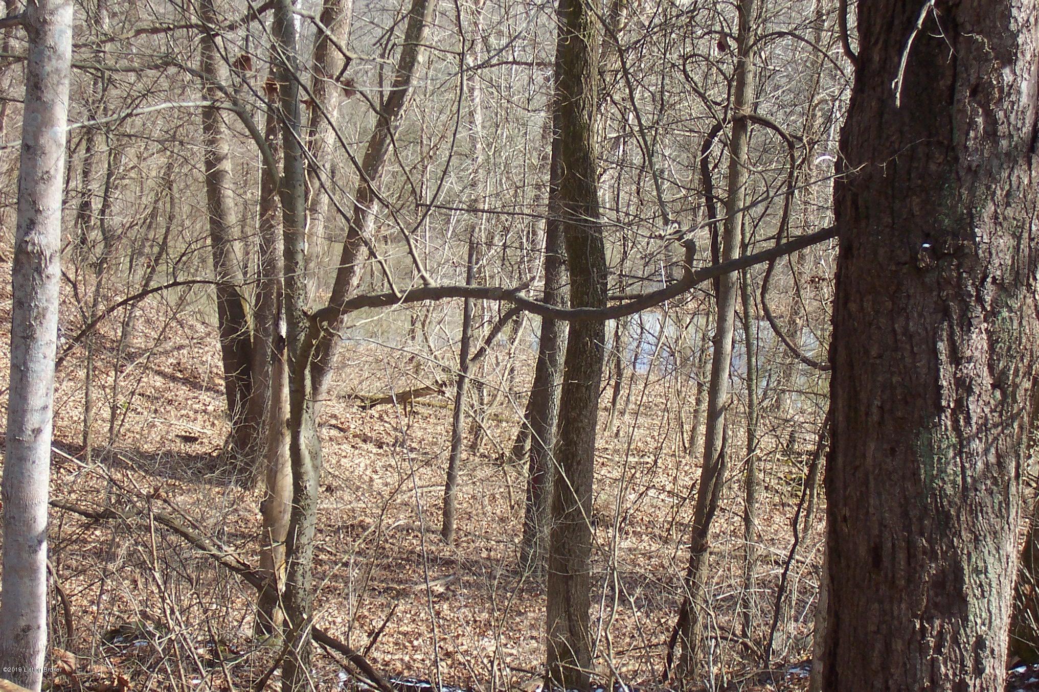1341 Johnny Frank Road Leitchfield, KY 42754 - Photo 3 of 30 100_6946