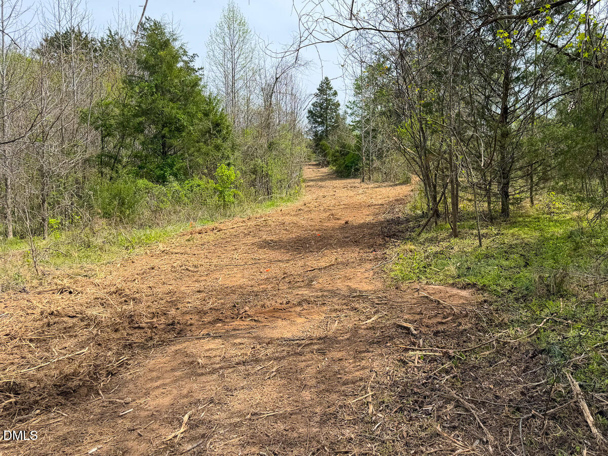 0 Pentecost Road Cedar Grove, NC 27231 - Photo 13 of 45