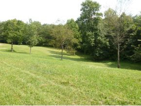 1500 Ryan Road Fall Branch, TN 37656 - Photo 5 of 20 Photo 5