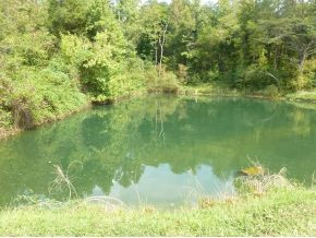 1500 Ryan Road Fall Branch, TN 37656 - Photo 7 of 20 Photo 7