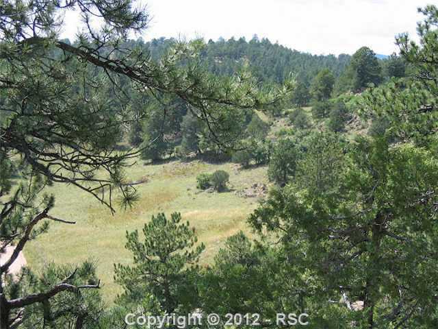 87 Apache Road Florissant, CO 80816 - Photo 11 of 16