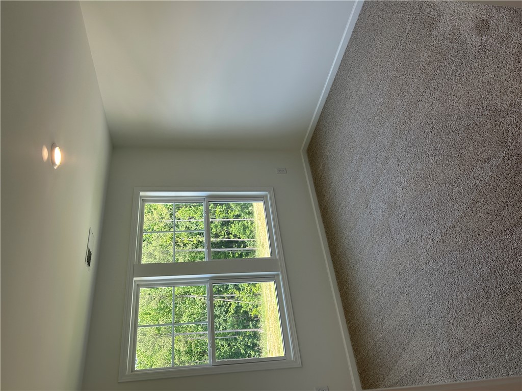 211 Bellflower Lane Anderson, SC 29625 - Photo 22 of 28 Plush carpet and bright windows offer a tranquil retreat with refreshing outdoor views.