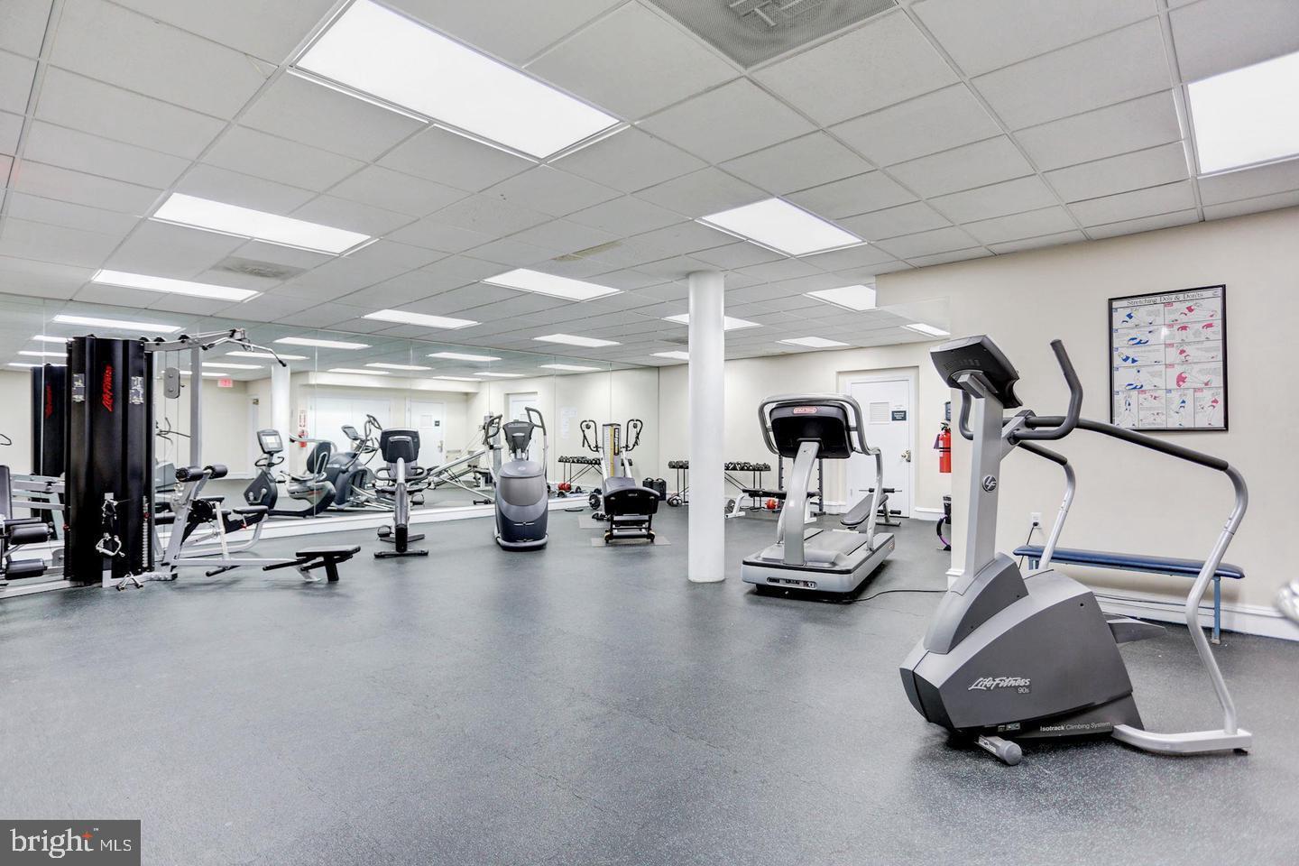 5563 Seminary Road, Unit 314 Falls Church, VA 22041 - Photo 16 of 21 FITNESS CENTER