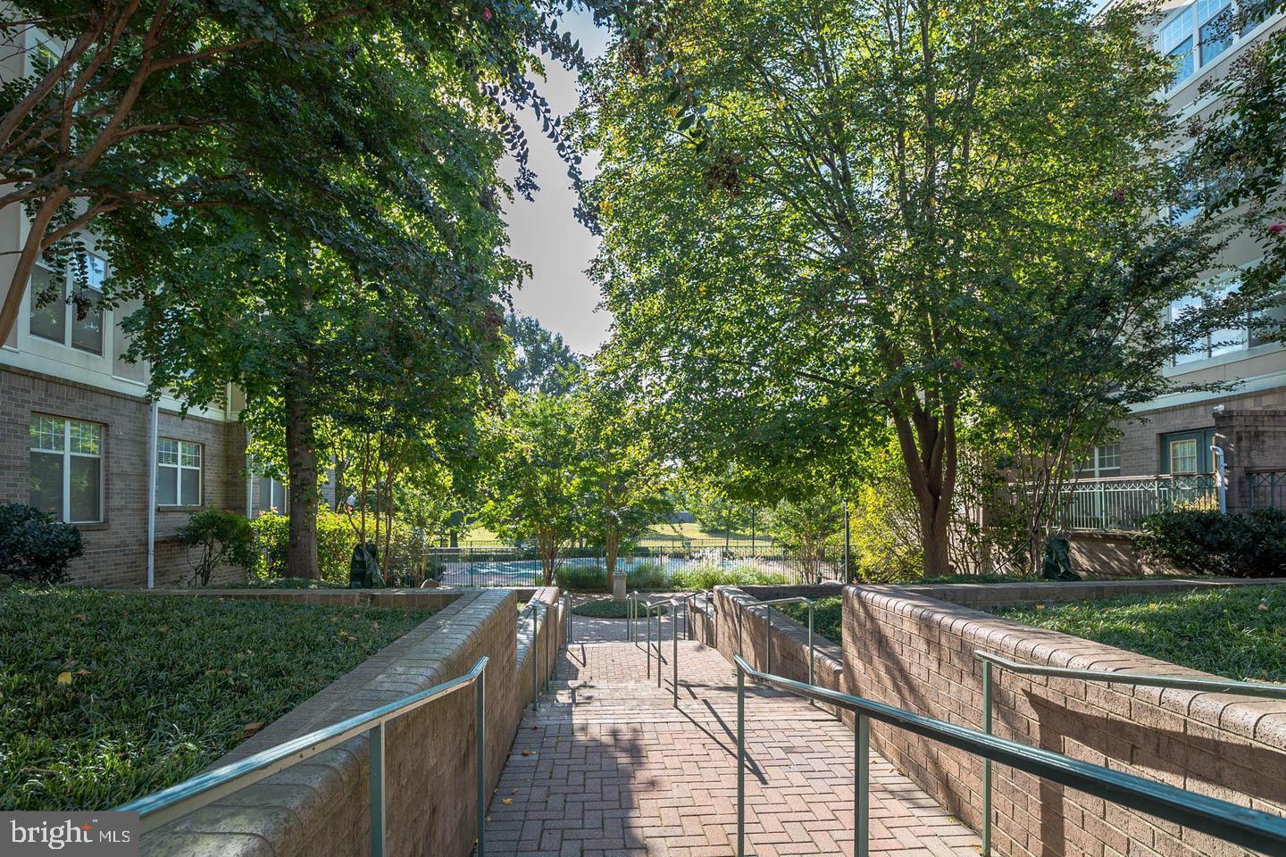 5563 Seminary Road, Unit 314 Falls Church, VA 22041 - Photo 21 of 21 COURTYARD
