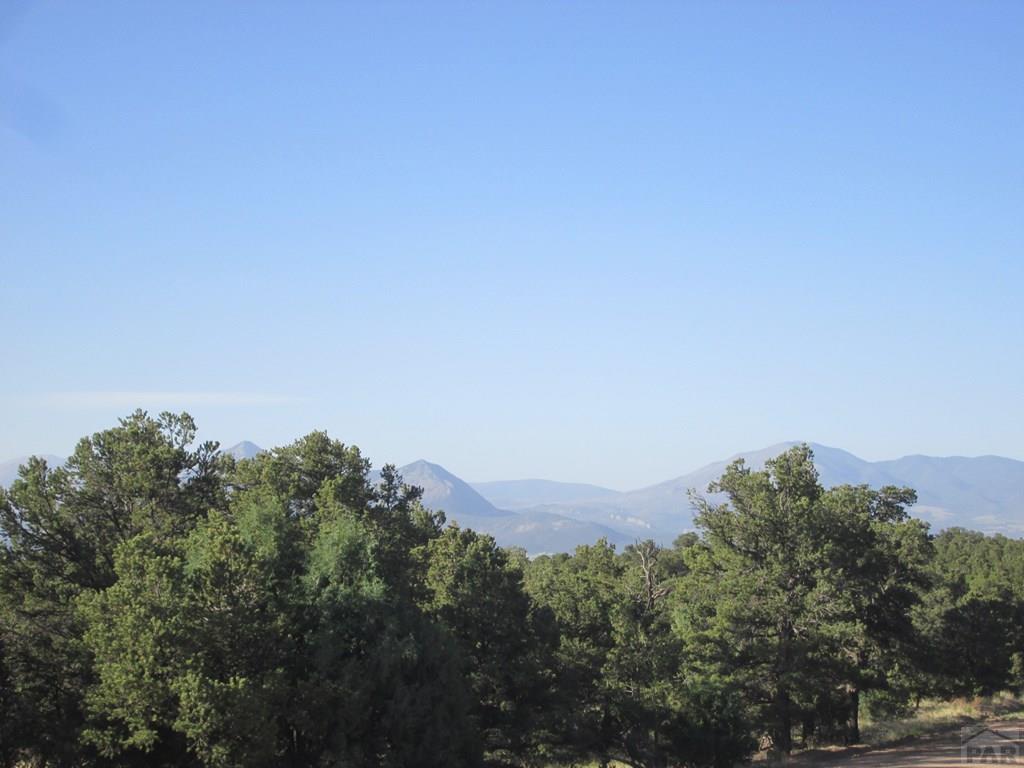 Lot #2 Milligan Ranch Gardner, CO 81040 - Photo 21 of 35 Gallery Image 21