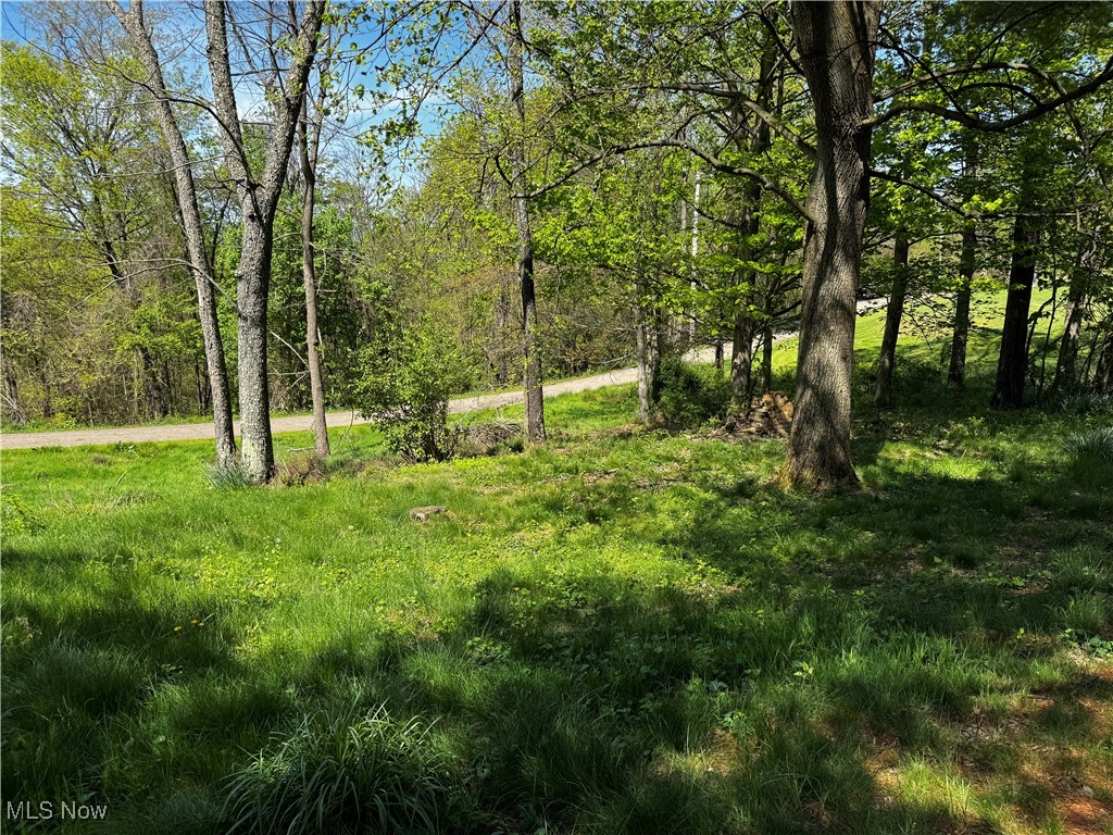 72220 Sharon Road Bridgeport, OH 43912 - Photo 11 of 35