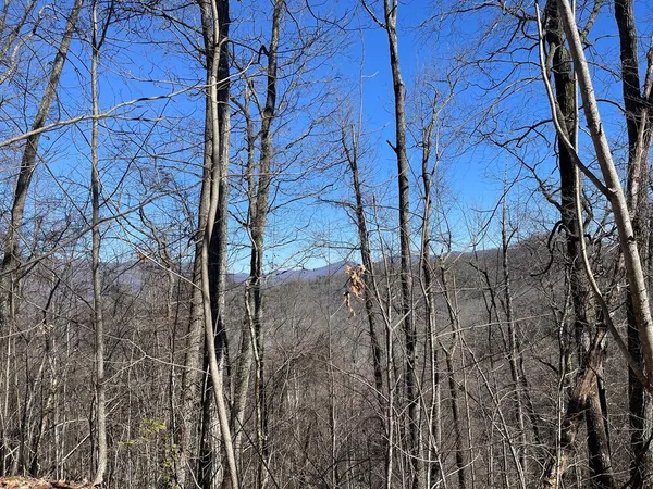 $10,000 | Lot 68 Grandview Drive, Hayesville, NC 28904