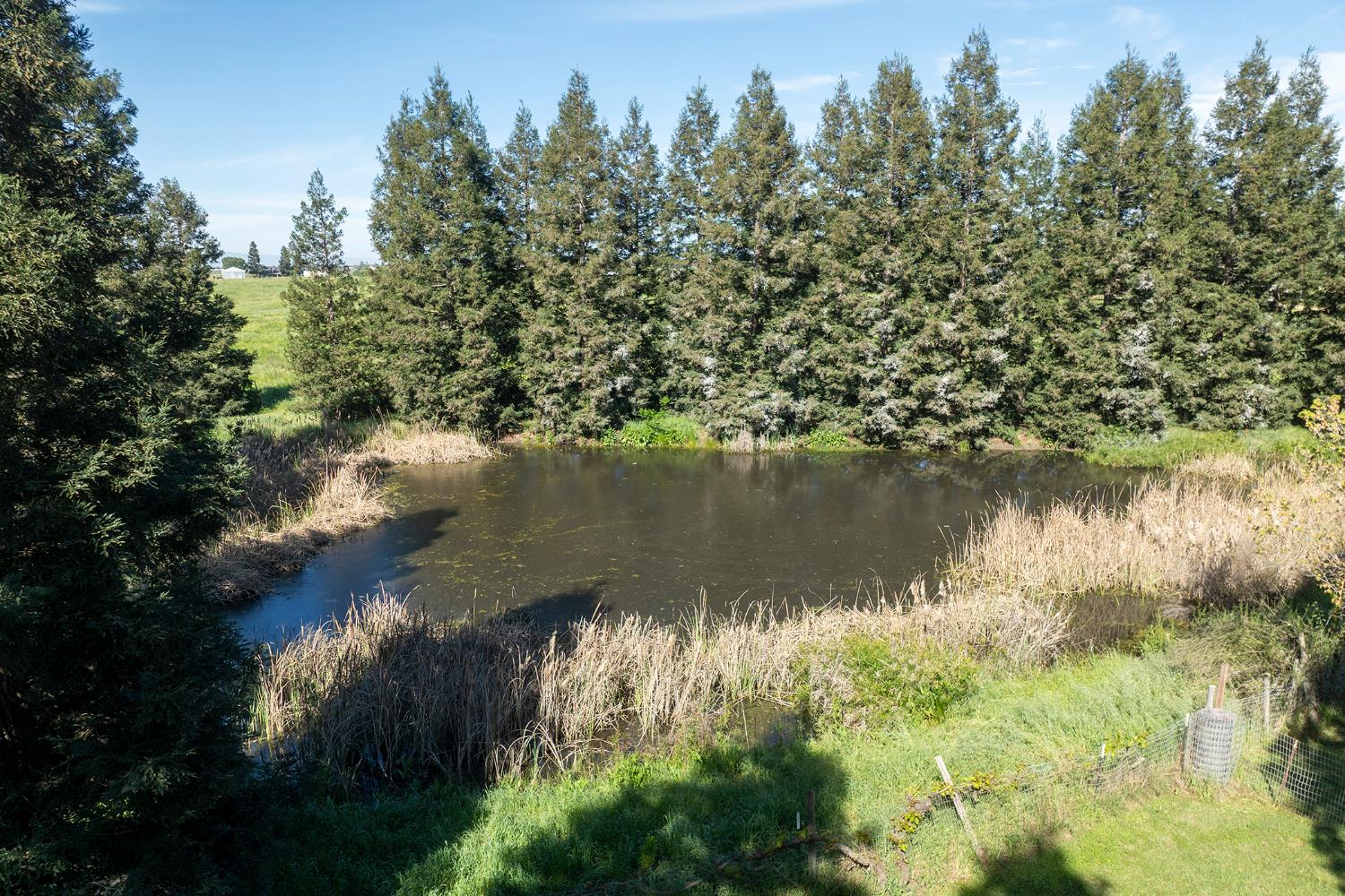 3401 Bogue Road Denair, CA 95316 - Photo 48 of 65