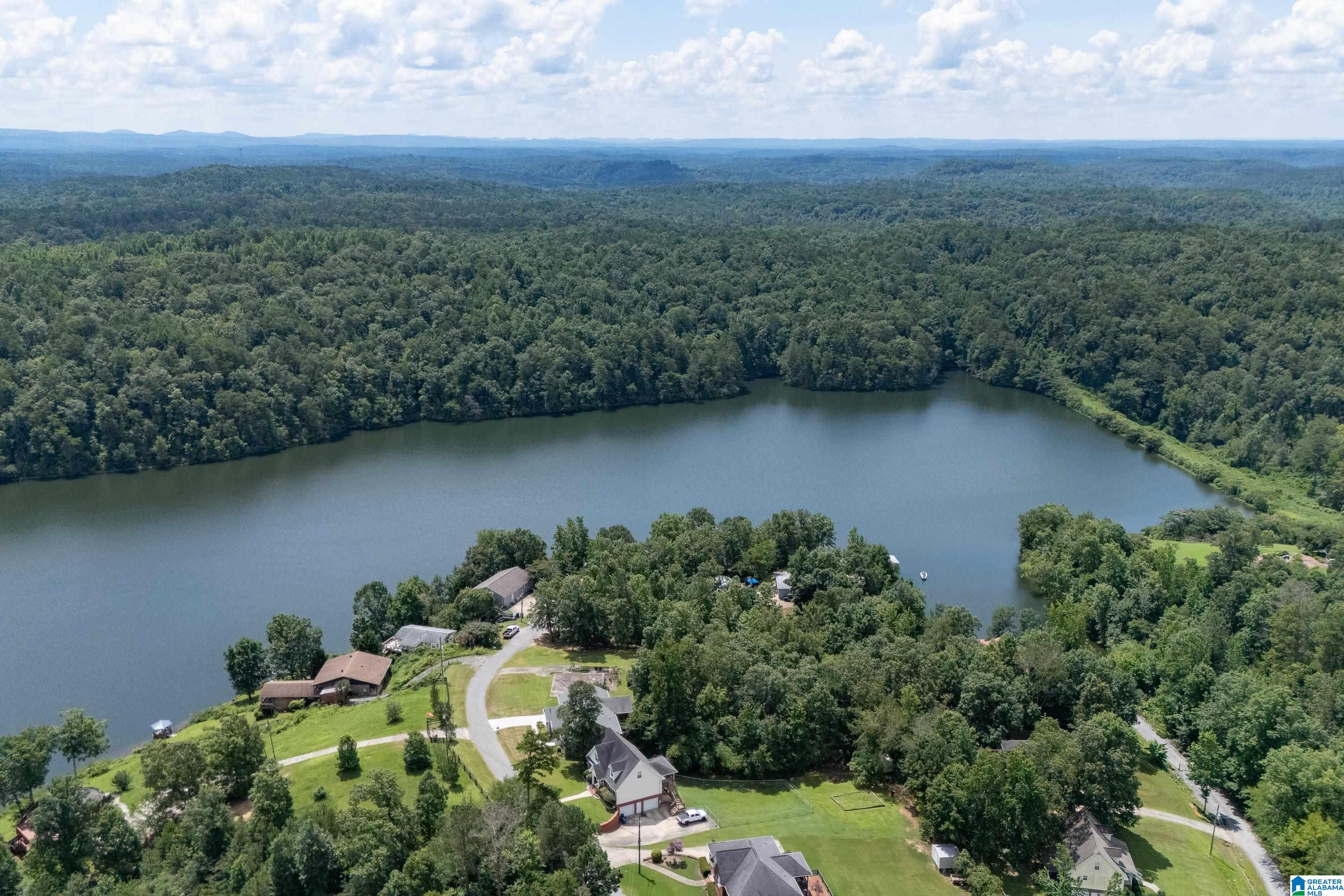 1594 Overlook Point Warrior, AL 35180 - Photo 36 of 51