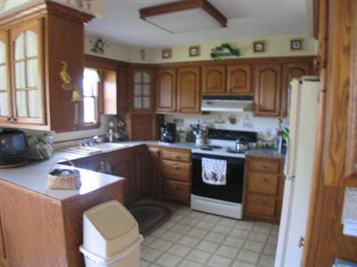 800 West Briggs Road Stanton, MI 48888 - Photo 3 of 7 Additional Photo