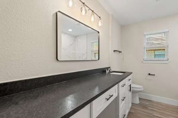 a bathroom with a sink a vanity and a toilet