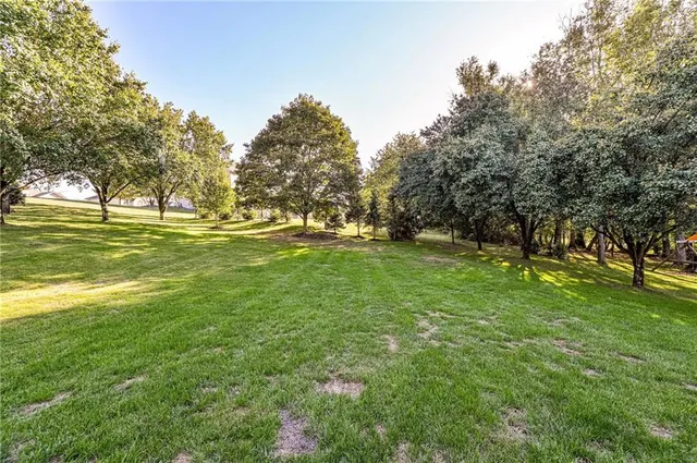 a big yard with lots of green space and trees