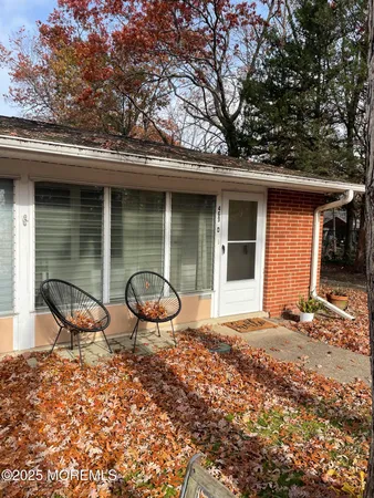 a outdoor space with a tree