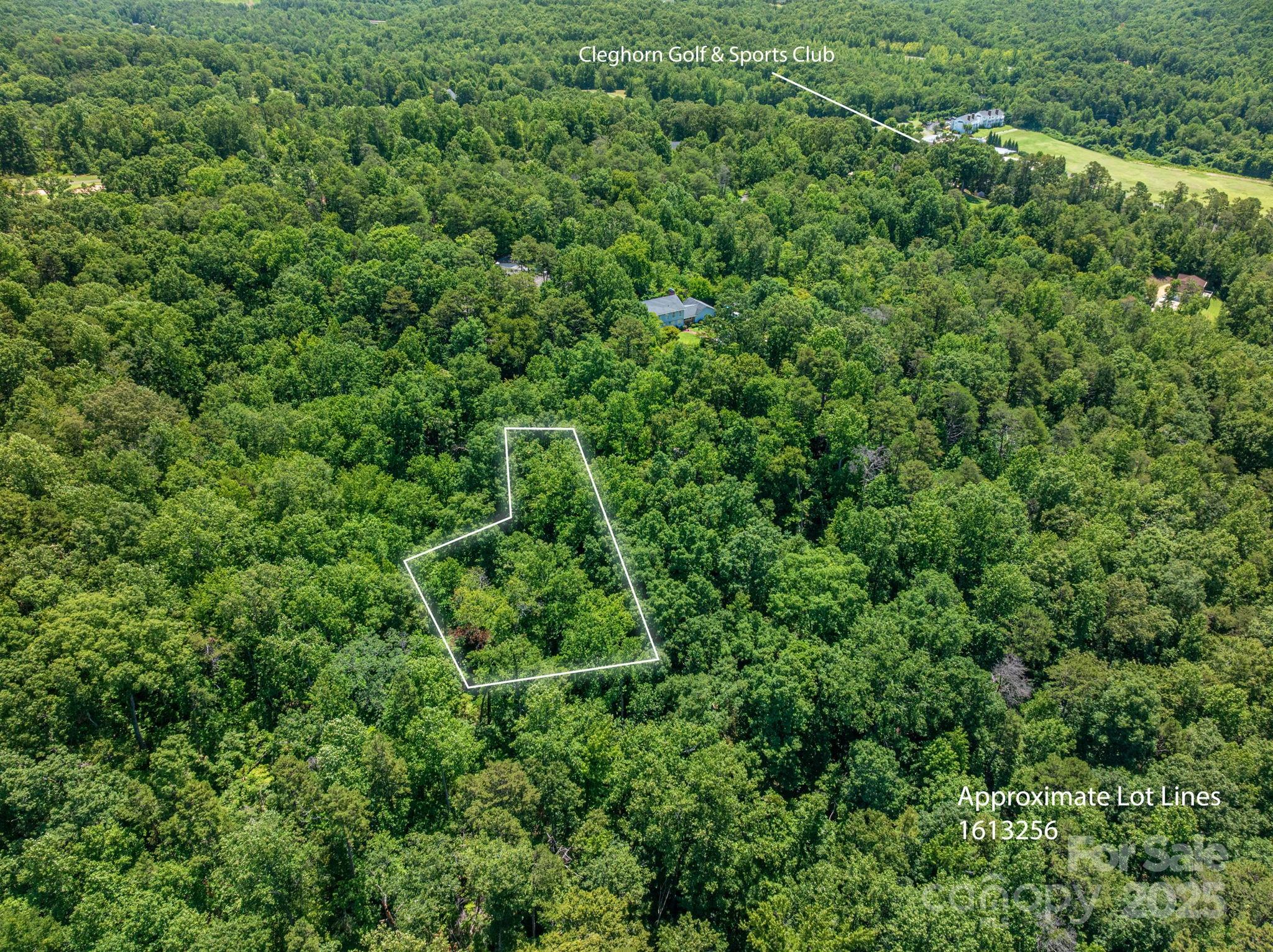 Lot 168 Plantation Drive Rutherfordton, NC 28139 - Photo 3 of 20 an aerial view of residential house with outdoor space and trees all around