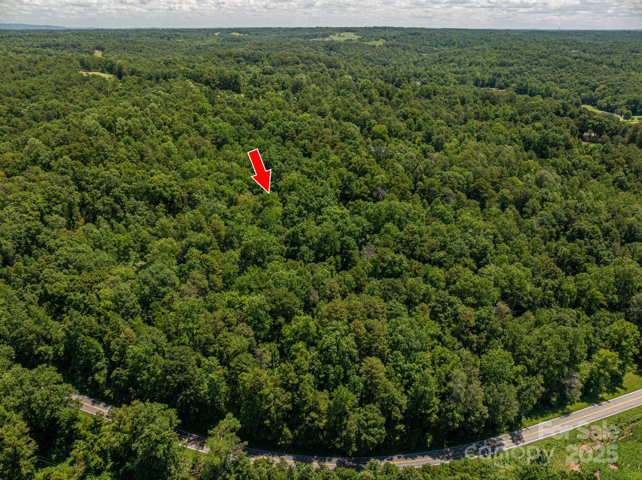 Lot 168 Plantation Drive Rutherfordton, NC 28139 - Photo 4 of 20 a view of a outdoor space with a street and bushes