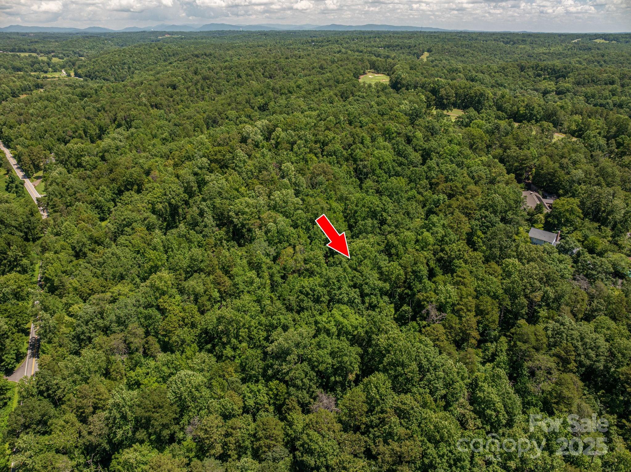 Lot 168 Plantation Drive Rutherfordton, NC 28139 - Photo 8 of 20 a view of a lush green forest with a lush green forest