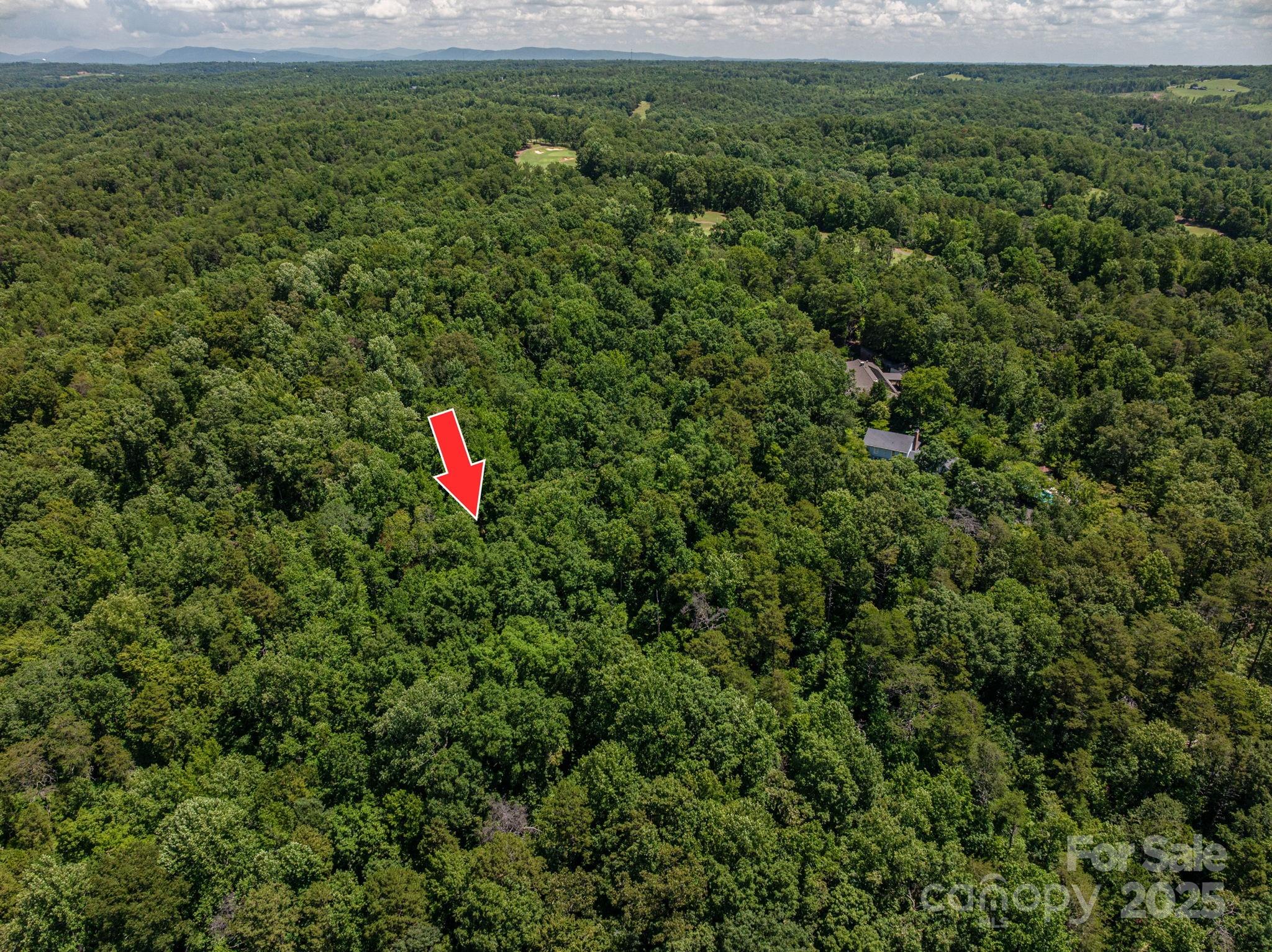 Lot 168 Plantation Drive Rutherfordton, NC 28139 - Photo 9 of 20 a backyard of a house with lots of green space and trees all around