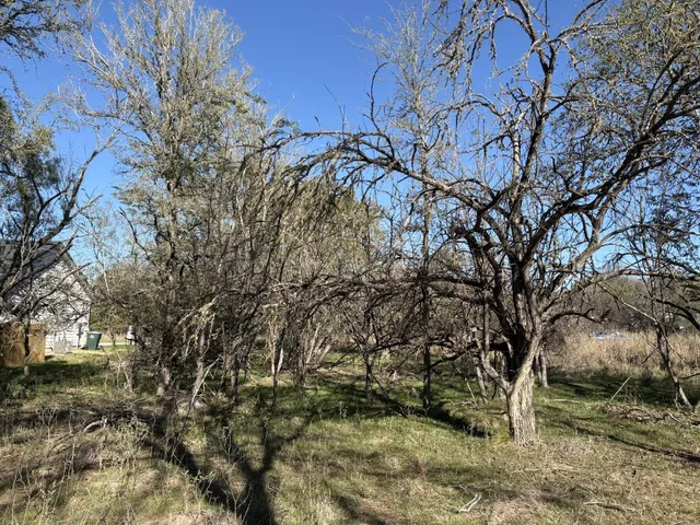 $55,000 | 131 Waimanalo Lane, Bastrop, TX 78602