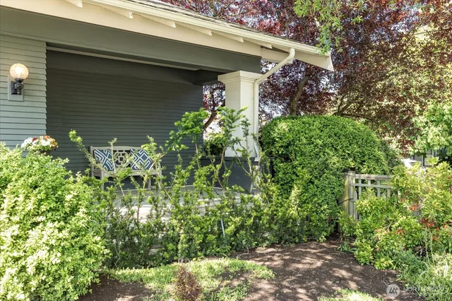 a plant in front of a white building
