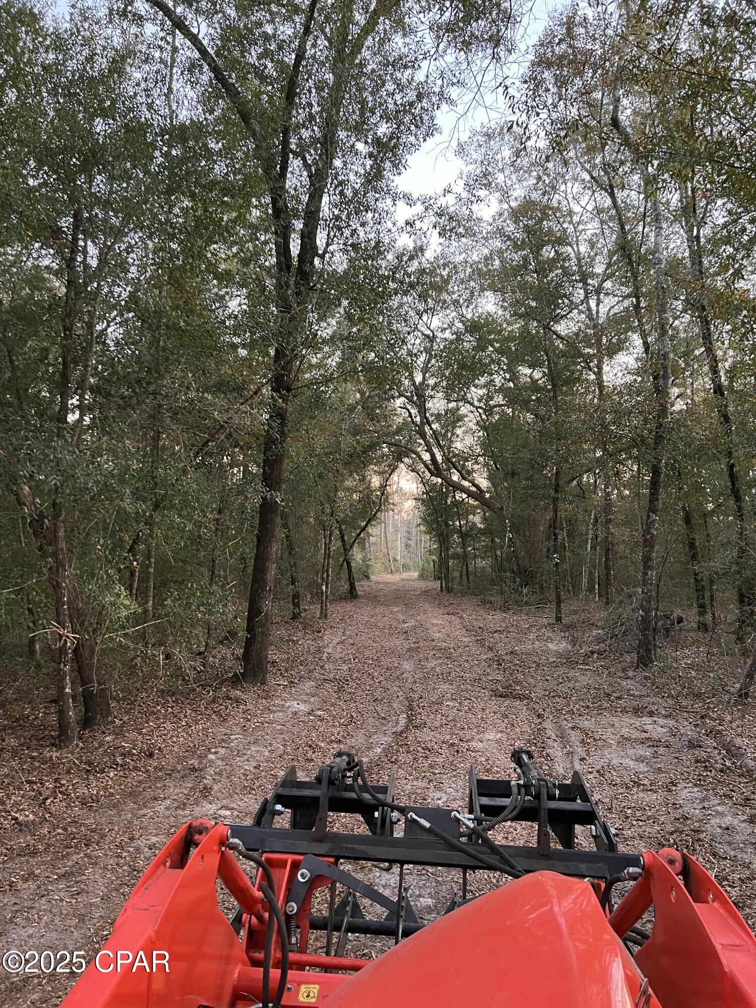 2839 Highway 79 Vernon, FL 32462 - Photo 11 of 26