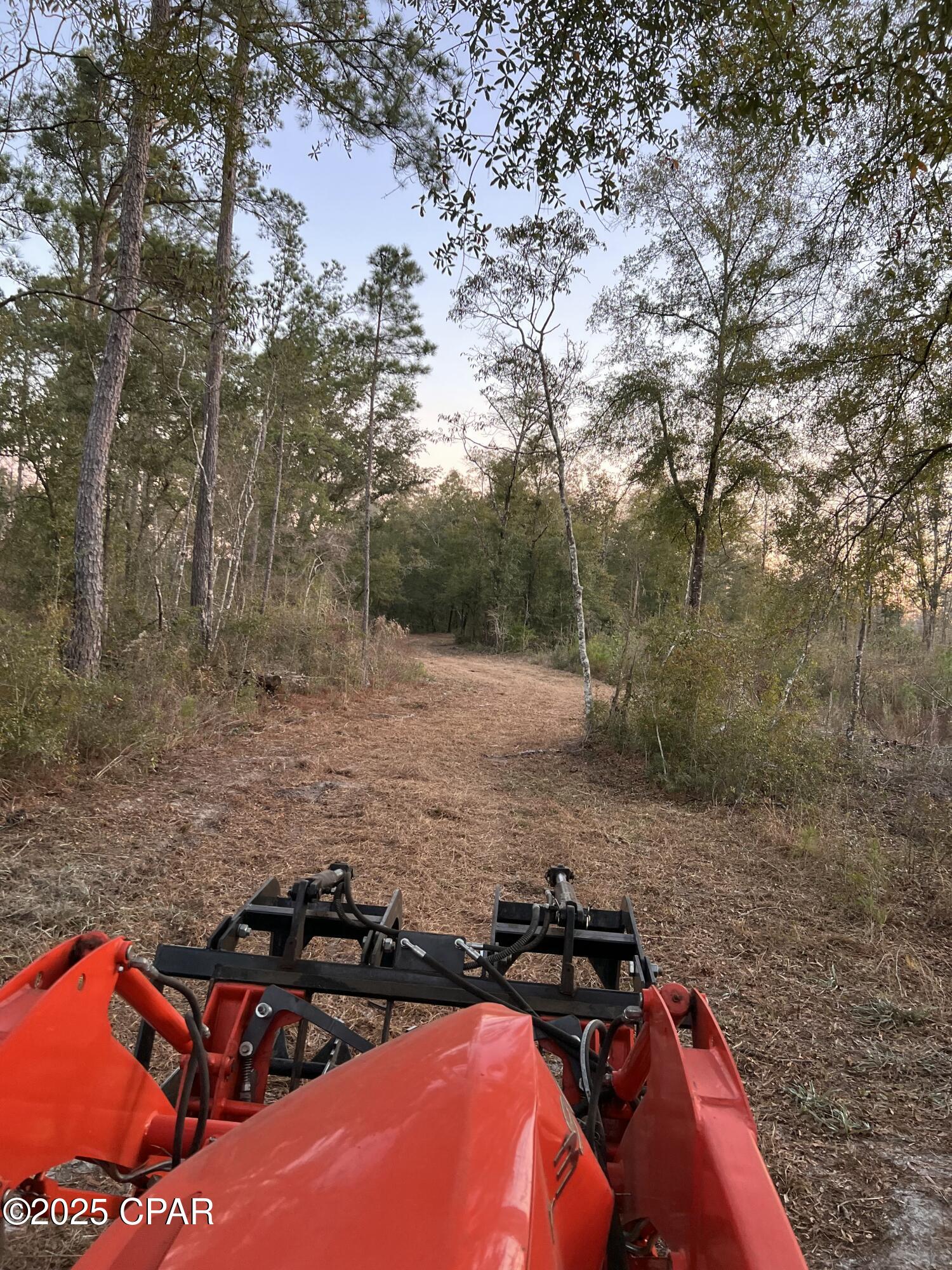 2839 Highway 79 Vernon, FL 32462 - Photo 12 of 26