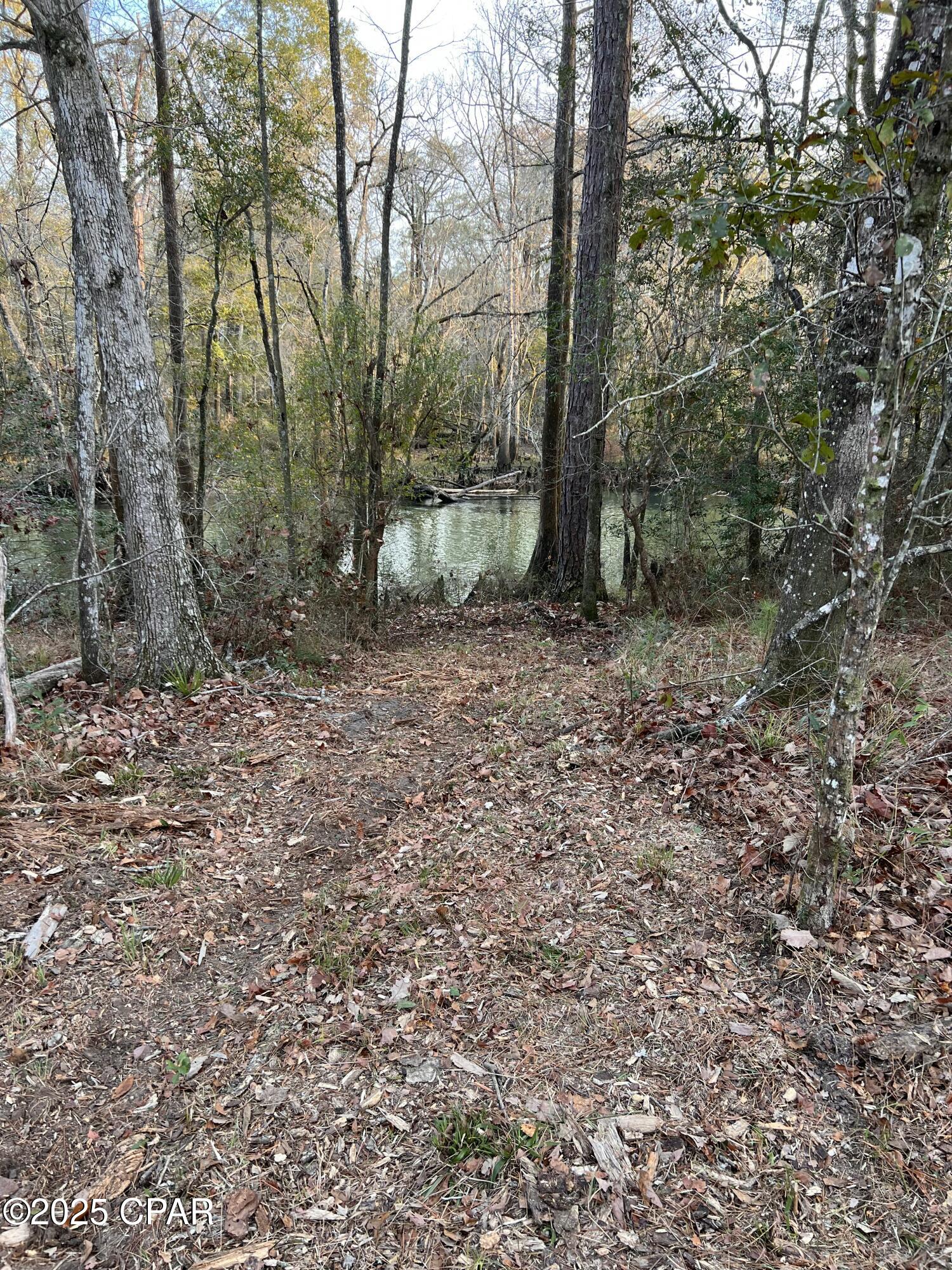 2839 Highway 79 Vernon, FL 32462 - Photo 14 of 26