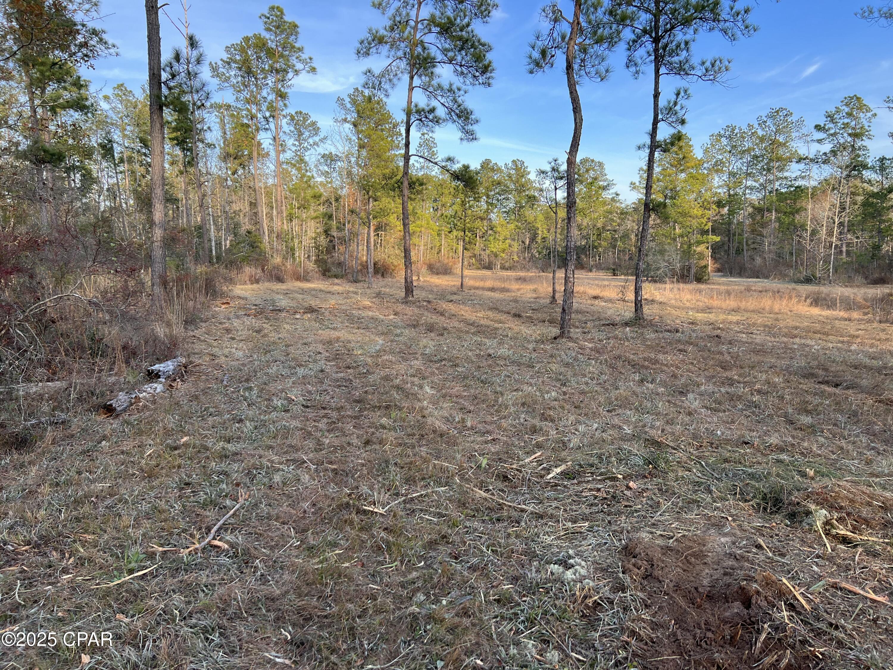 2839 Highway 79 Vernon, FL 32462 - Photo 16 of 26