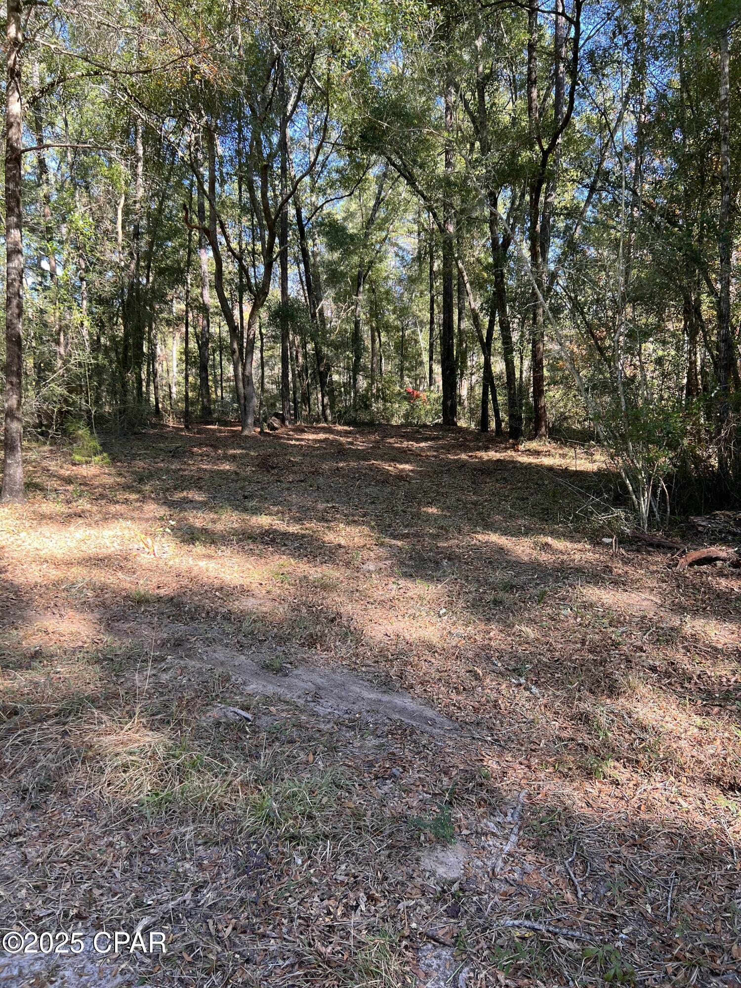 2839 Highway 79 Vernon, FL 32462 - Photo 19 of 26