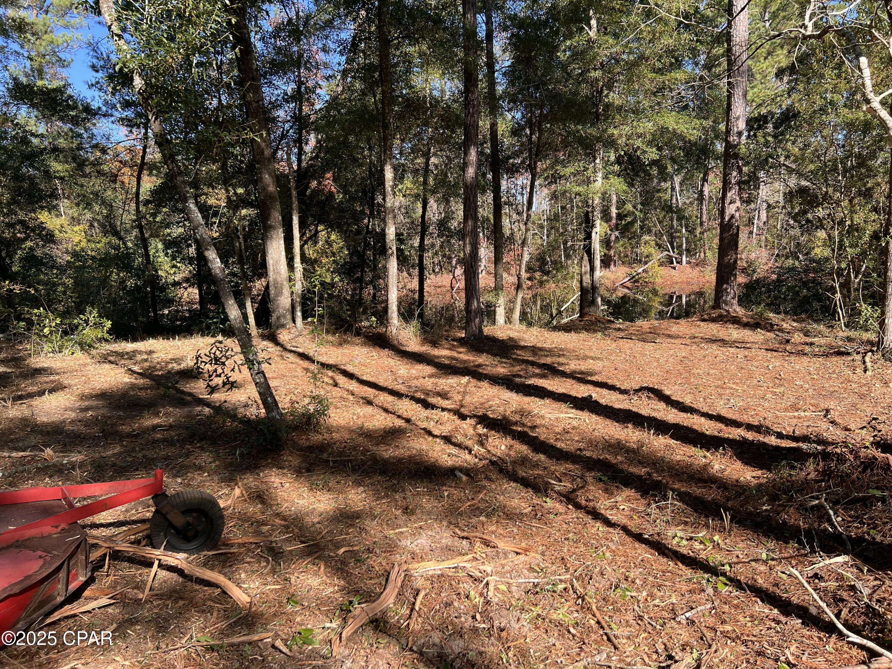 2839 Highway 79 Vernon, FL 32462 - Photo 20 of 26