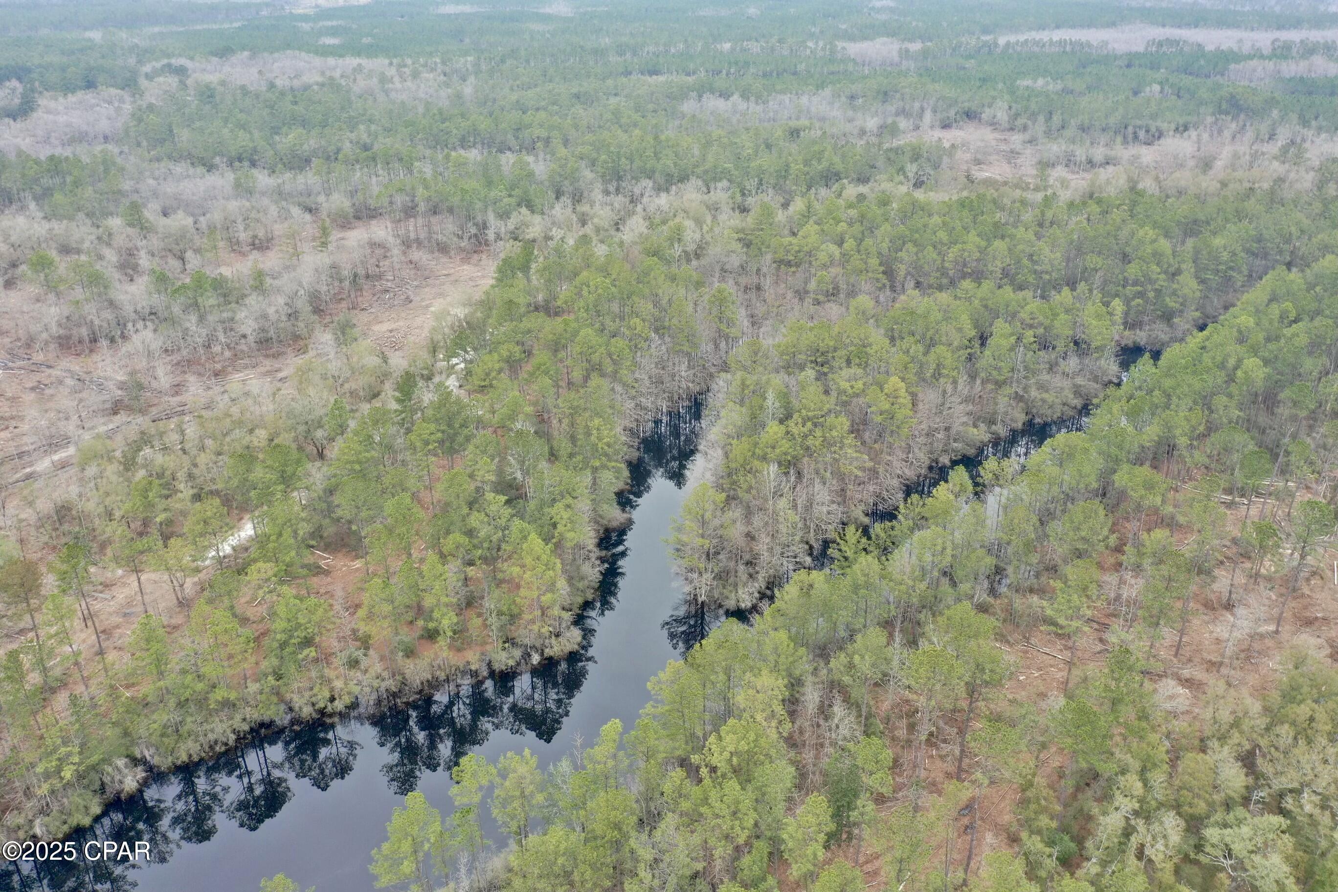 2839 Highway 79 Vernon, FL 32462 - Photo 22 of 26