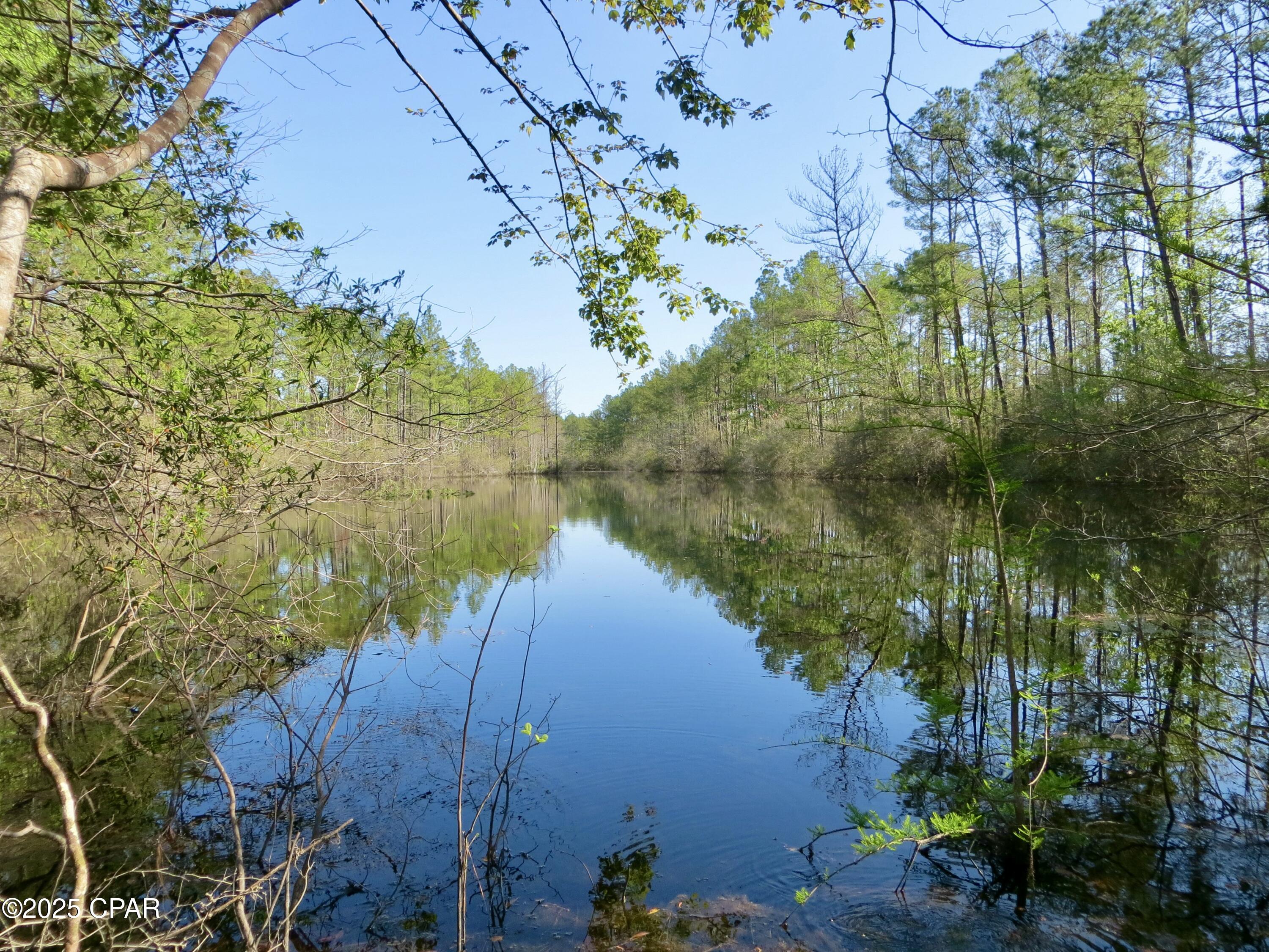 2839 Highway 79 Vernon, FL 32462 - Photo 24 of 26