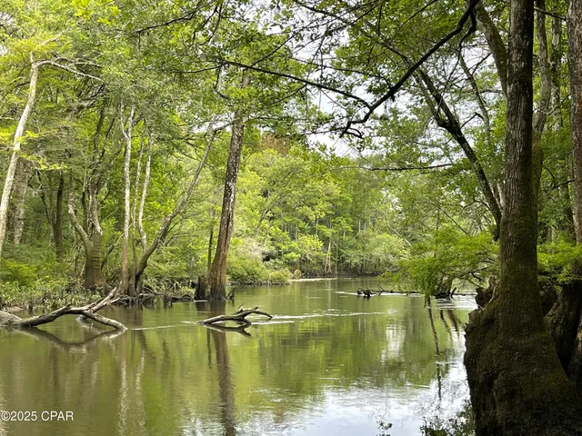 $7,500,000 | 2839 Highway 79, Vernon, FL 32462