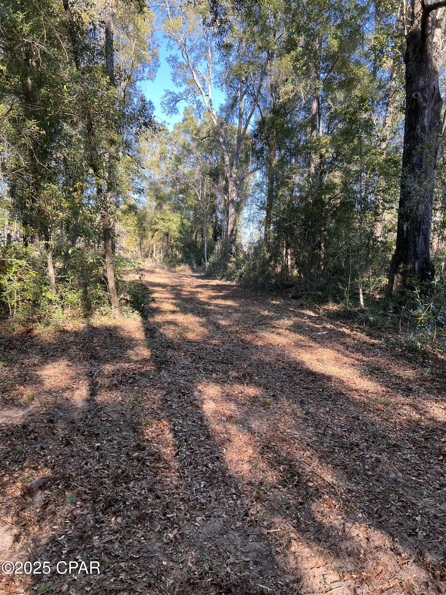 2839 Highway 79 Vernon, FL 32462 - Photo 9 of 26