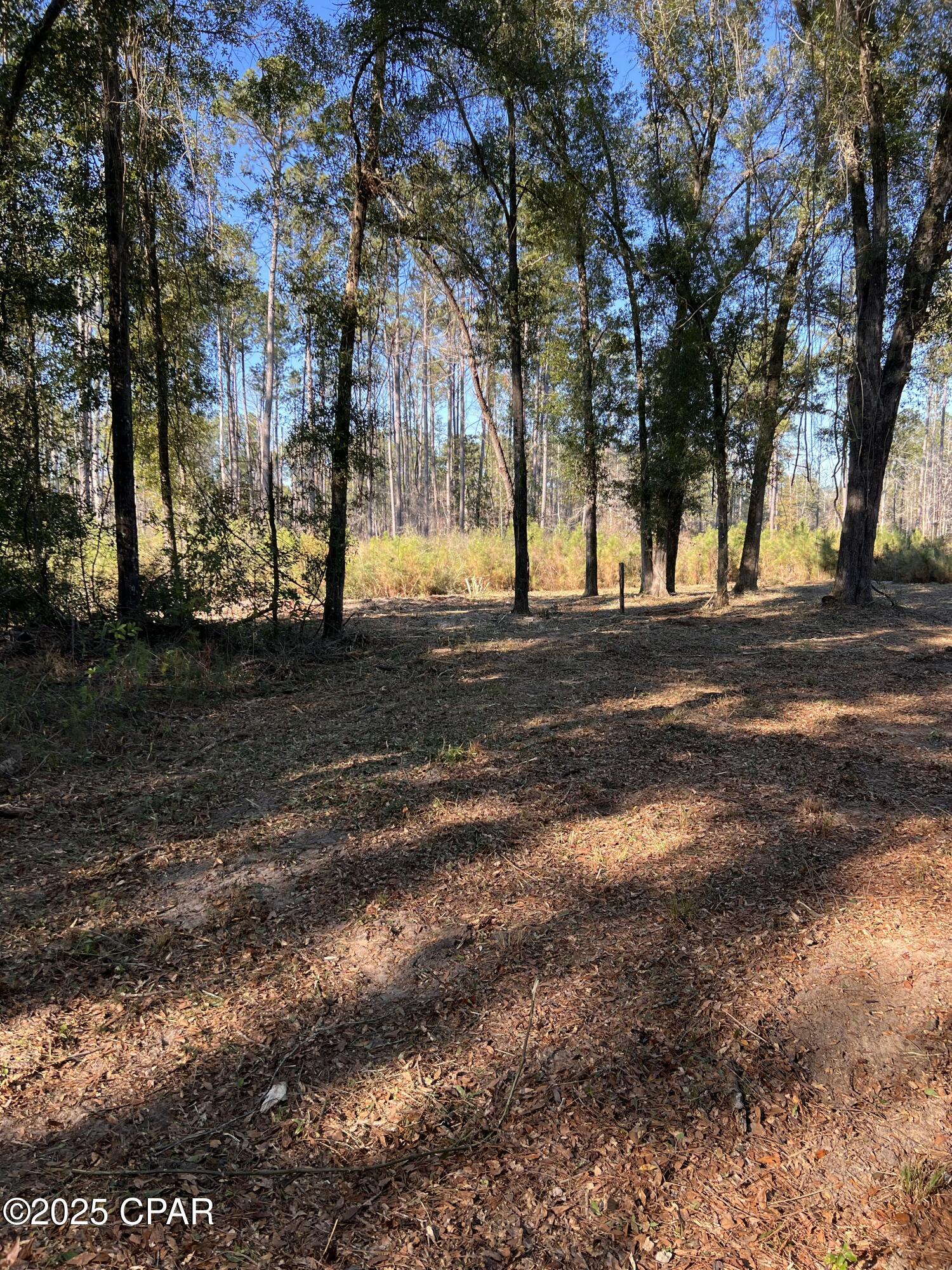 2839 Highway 79 Vernon, FL 32462 - Photo 10 of 26