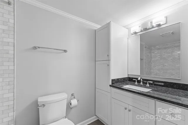 a bathroom with a granite countertop sink a toilet and a mirror